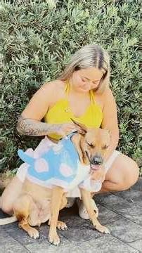 Do you think putting a camera on a dog is a good plan? What would you do?