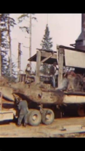 The Hobi Logging crew moving the steam Donkey with a couple D model IH trucks.
