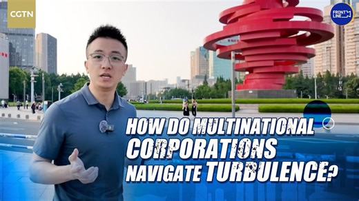 How do multinational corporations navigate turbulence?