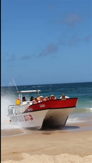 Great Boat Beach cam1 #beach #ocean #boat