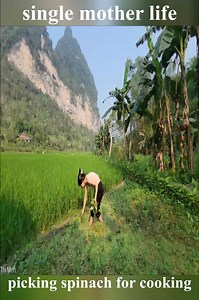 young mother picking spinach for cooking #PoorMother #singlemother #singlemomlife | Salman Sk