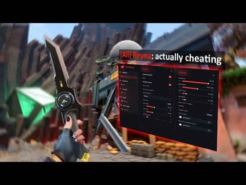 🎯 THE BEST UNDETECTED VALORANT CHEAT 2025 | FT LETA SOFTWARE