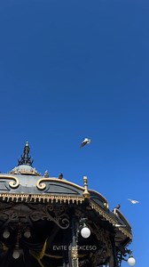 El corazón de Casa Campo Azul. Este lugar no solo define nuestro origen, sino que también imparte una identidad única a nuestro tequila. Las características geográficas y las costumbres locales son las que han mantenido vivas nuestras raíces y tradiciones familiares. | Tequila Campo Azul