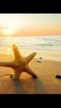 Era d'estate. Canzone di Vito Coviello