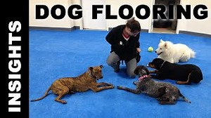 Dog Training Floor Mats - EVA Foam for Dog Agility