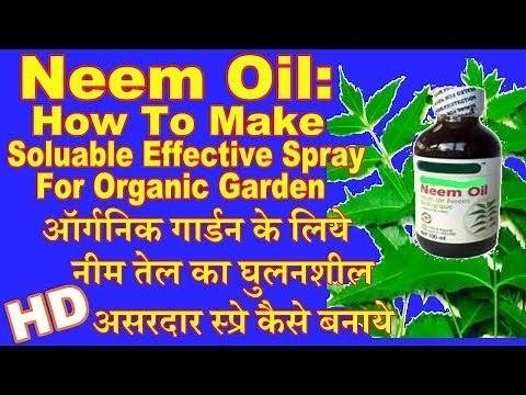 Neem Oil|Easy Soluble Effective Spray For Organic Garden
