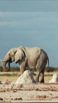 The Secrets of Ancient Stone Construction