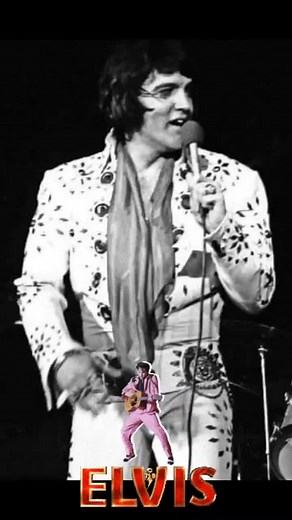 Dino Zucchetto su TikTok