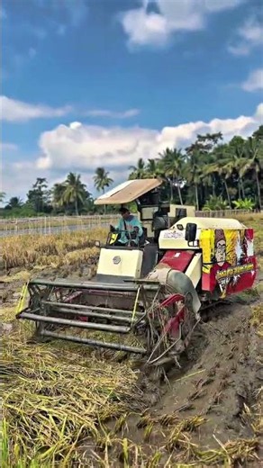 MAXXI || #maxxibimoterbaru #combineharvester #maxxibimo102standar #automobile #combinepadi #farming