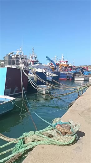 Assurance Corps Bateaux : Protection Complète en Mer