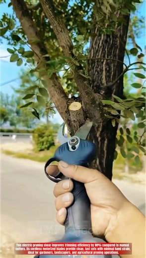 Innovative Electric Pruning Shears: Best Cordless Tool for Effortless Tree Trimming
