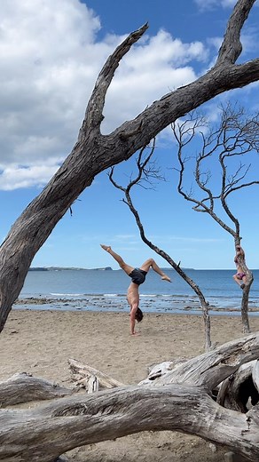 Just some Yoga on a beach while Koa climbs her millionth tree here in New Zealand. Wearing @aloyoga #yoga #yogaflow #vinyasa #handstand #newzealand #nzyoga #yoganz #yoganewzealand | Josh Kramer Yoga