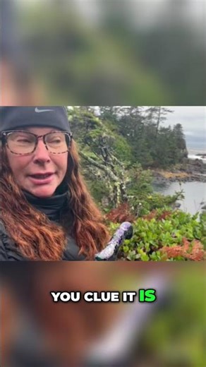 Stunning 2.5km Coastal Loop Walk: Easy & Breathtaking Views! #shorts