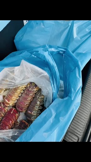 Some good news for the day. Lobster tails are back in season & in stock however they will be served as add ons onto any existing seafood meal. Due to stock price hikes & demand, we have had to increase our prices to R60 per lobster tail. I trust you understand 🙏🏾❣️ I thank you for the continued support ❣️🙏🏾