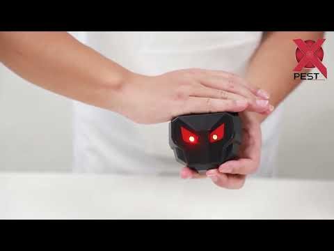 Solar-powered animal repellent for Nocturnal animal