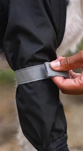 Hike in Comfort with Waterproof Warm Dog Shoes