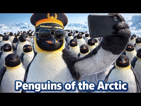 Life of Arctic Penguins