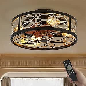 Caged Ceiling Fan with Light Control Remote, Timing 6-speed Modern Enclosed Reversible Motor, 20-inch Low Profile Flush Mount Farmhouse Bladeless Ceiling Fans with Lights