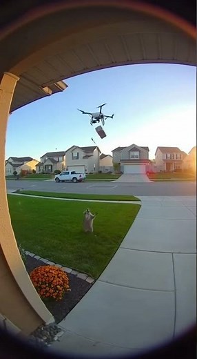 Attacks Delivery Drone — Neighbors Couldn’t Stop Laughing!