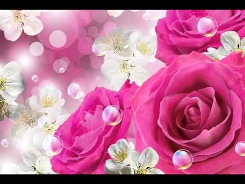 ♥ Belles Roses ♥ Musique Instrumentale