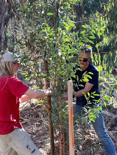 Santa Barbara Bucket Brigade on Reels | Facebook