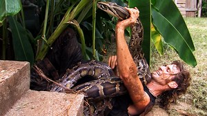 760K views · 12K reactions | These python captures are next-level insane!  #BillyTheExterminator | Billy the Exterminator on A&E | Facebook