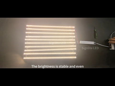 High-Efficiency LED Linear Module | SignLite LED