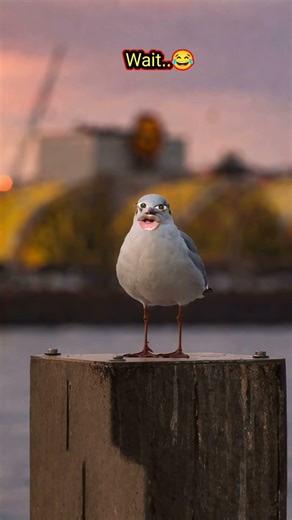 🕊️🕊️wait for end..😅#1million 😂#thetharpuns #funny #comedy