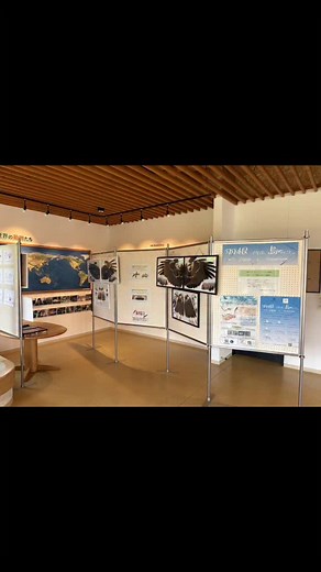 猛禽類医学研究所 on Instagram: "おびひろ動物園 ビジターセンター「ハピネスホーム」にて 羽根で学ぶ、鳥のこと。 with Zoo & Aquarium 北海道産いきもの保全プロジェクト✖️猛禽類医学研究所 釧路市動物園での展示を終え、 おびひろ動物園での展示を開始しました！ 期間:2025年7月1日〜2025年8月7日 🌟展示テーマ「北海道に生息する猛禽類」🦅 お待ちしています～🌻 #イベント #羽 #鳥 #マニアック #沼 #お誘い #鳥 #帯広 #動物園 #wildlife #bird #feathers #project #obihiro"