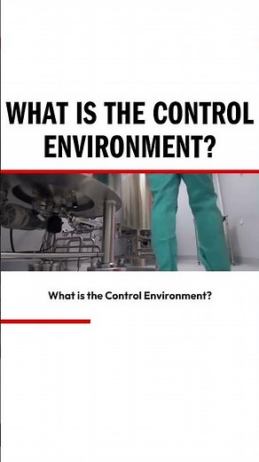 What is the Control Environment?