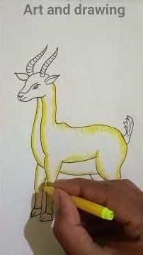 deer drawing colour pencil