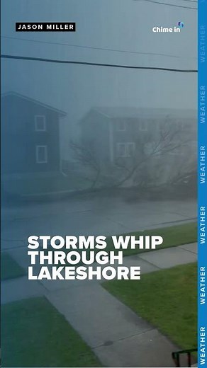 Wind and rain knock tree down in Two Rivers
