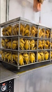 Automated Poultry Processing Line in a Food Factory