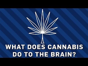 What Does Cannabis Do To The Brain? | Earth Science