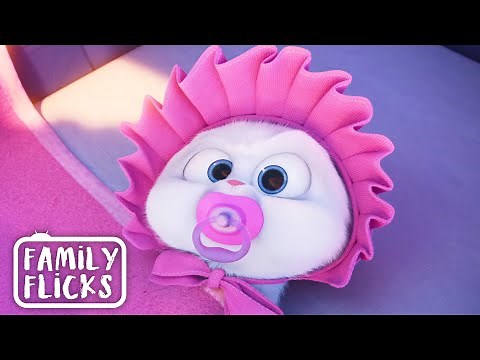 Chasing Animal Control | The Secret Life Of Pets (2016) | Family Flicks