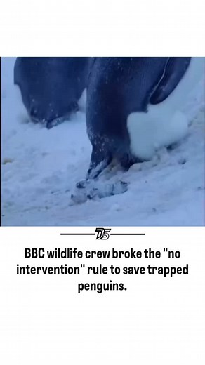 81K views · 3.4K reactions | In 2018, while shooting the BBC series...