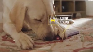 381K views · 313 reactions | OtterBox makes the case for protection. Which case is your favorite? bit.ly/ottermakesthecase | OtterBox | Facebook