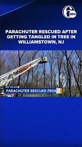 Parachuter rescued after getting tangled in tree in Williamstown, NJ