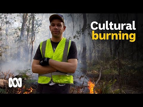 Indigenous fire methods protect land before and after the Tathra bushfire | ABC Australia