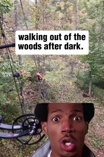 Hunting stories #biggamehunting