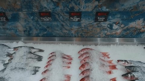clip-4006619107-fresh-fish-display-local-market-–-seafood