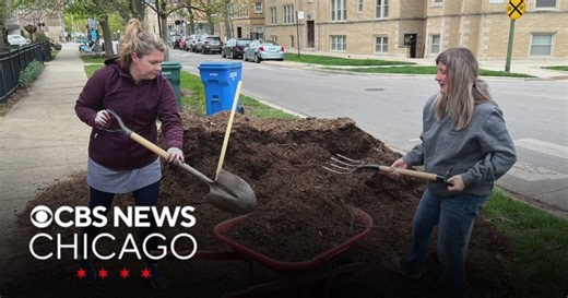 Chicago Park District seek site captains for Earth Day