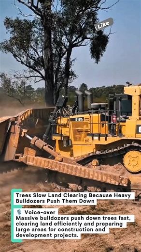 Trees Slow Land Clearing Because Heavy Bulldozers Push Them Down #landclearing #bulldozer