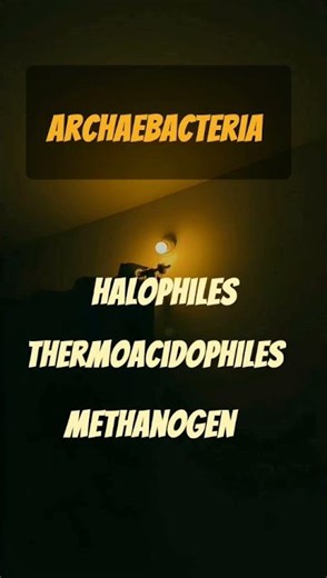 # biological classification #Archaebacteria