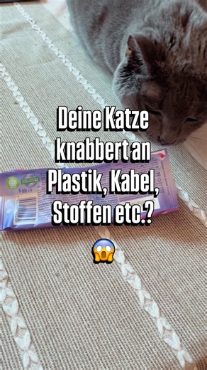 Svenja Dette • Verhaltensexpertin für Katzen on Instagram: "⚠️ Warum Katzen Plastik & Co. anknabbern 😬⬇️ 👉🏻 Pica hat psychische UND/ODER körperliche Ursachen. 👉🏻 Es ist kein „Blödsinn“ oder „Unfug“ sondern ein ernstzunehmendes Symptom. ✅ Folge mir @katzenfreunde_beratung für deinen entspannten Katzenalltag! 🔍 Was ist das Pica-Syndrom? ➡️ Zwanghafte Verhaltensauffälligkeit bei Katzen ➡️ Kauen oder Fressen nicht essbarer Dinge ➡️ Häufig: Plastik, Folien, Karton, Stoffe ⚠️ Typische Symptome: