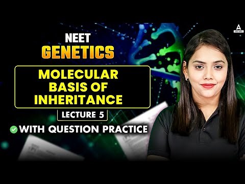 GENETICS CLASS 12 | NEET 2025 | MOLECULAR BASIS OF INHERITANCE | DNA, RNA & PROTEIN SYNTHESIS
