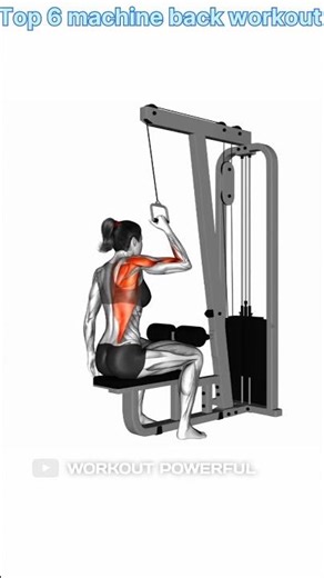 The Ultimate Machine Back Workout