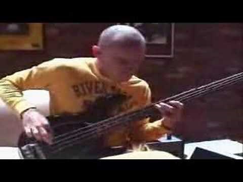 Flea on Dani California, Charlie, & Hump de Bump