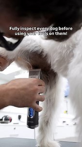 6.8K views · 651 reactions | Extremely important! #doggrooming | Northern California Grooming Academy | Facebook