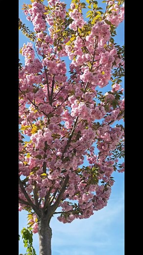 Family power 🥰🥰🥰 支持、合作和理解是家庭力量的核心。重要的是每個家庭成员都感到被接納和珍愛。❤️ #familypower #家庭 #力量 | Mr & Mrs O.